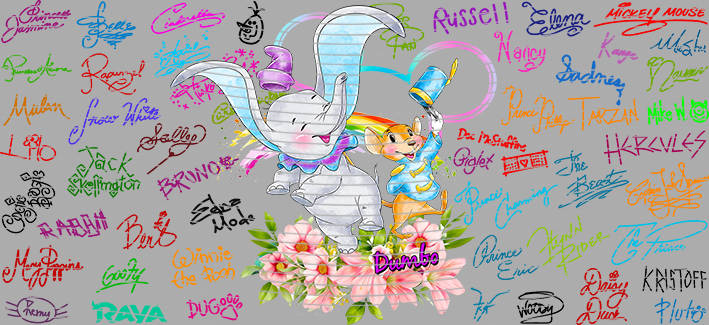 16oz Disney style-D-1320